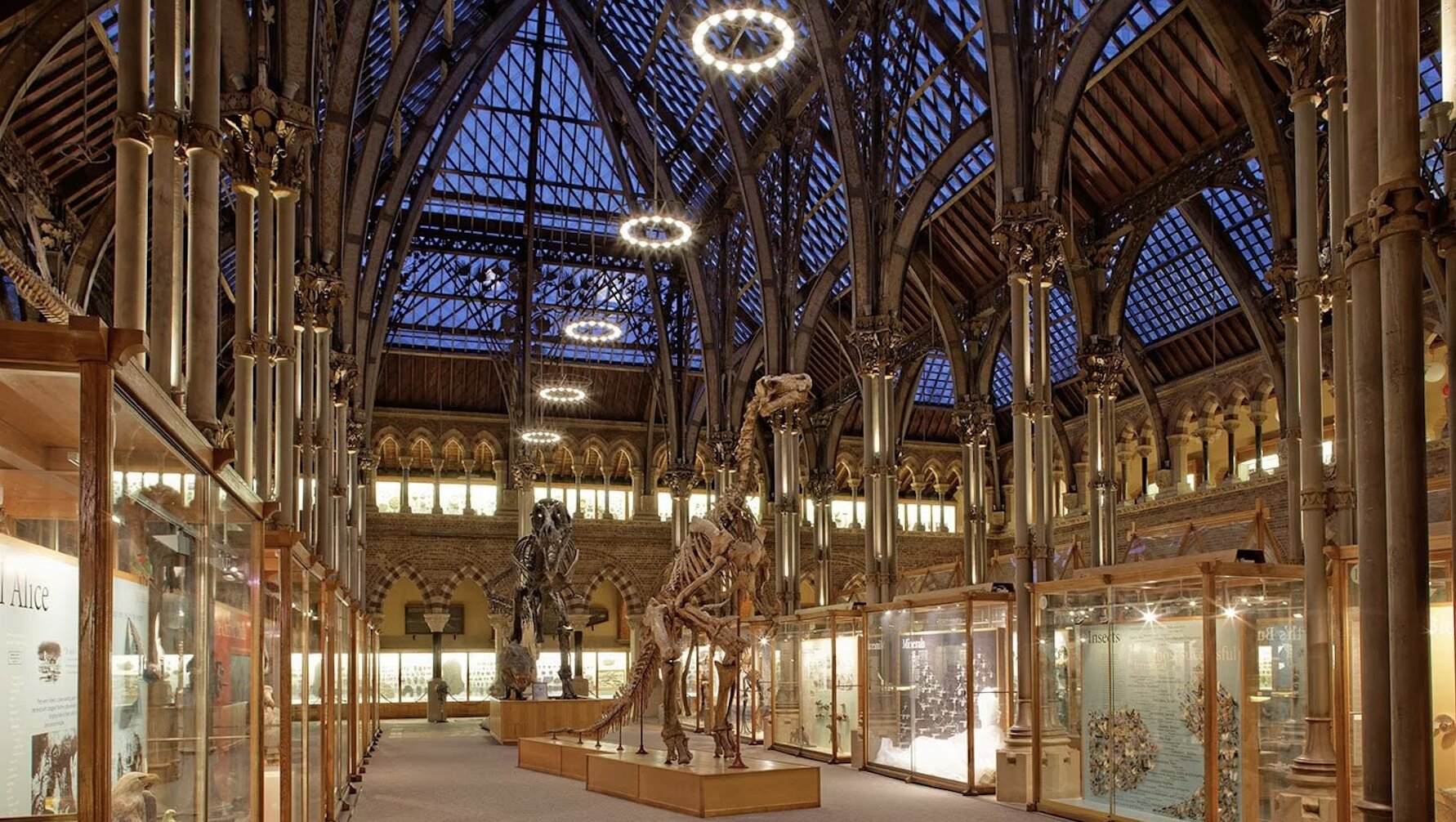 Oxford Museum of Natural History